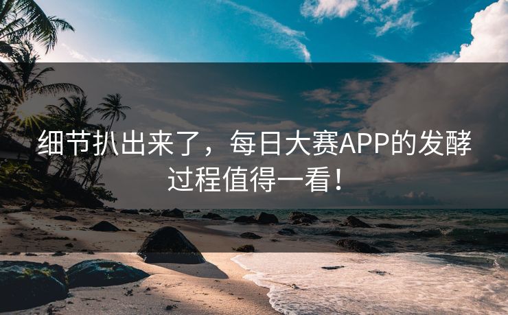 细节扒出来了，每日大赛APP的发酵过程值得一看！